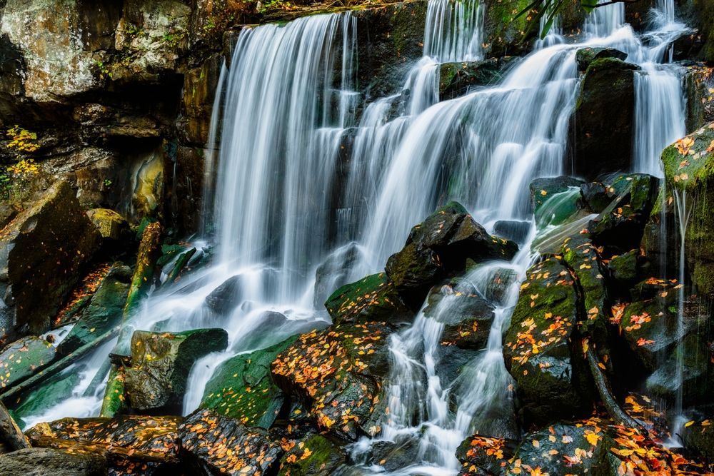 A waterfall at New River Gorge National Park and Reserve