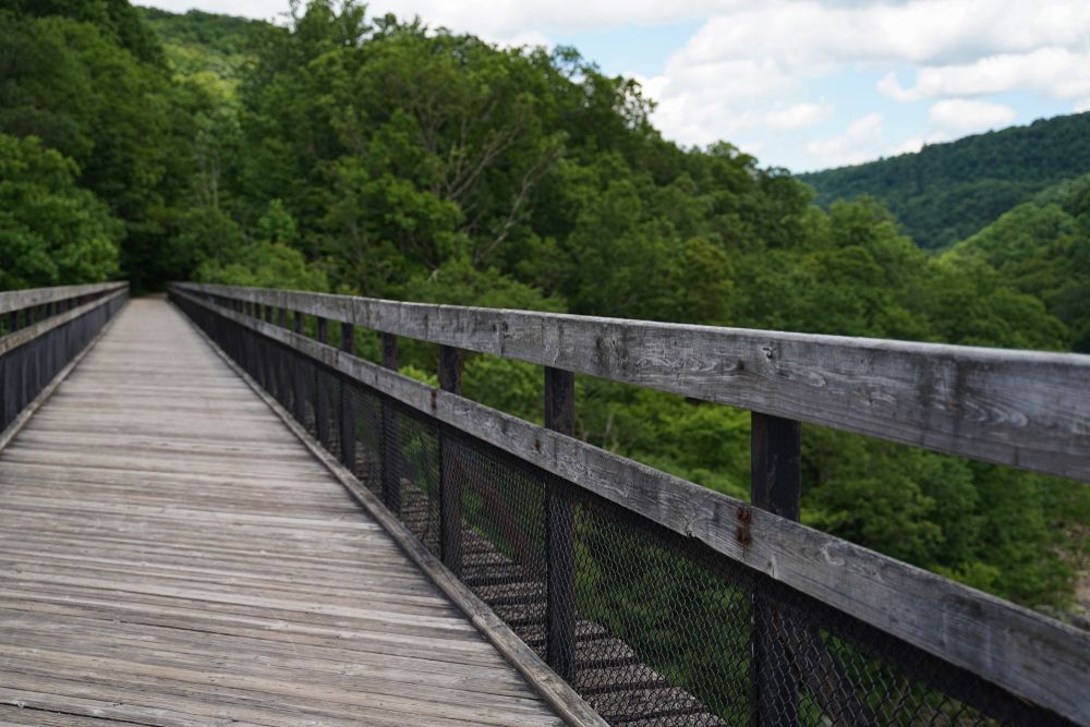 Wooden bridge at Ohiopyle State Park