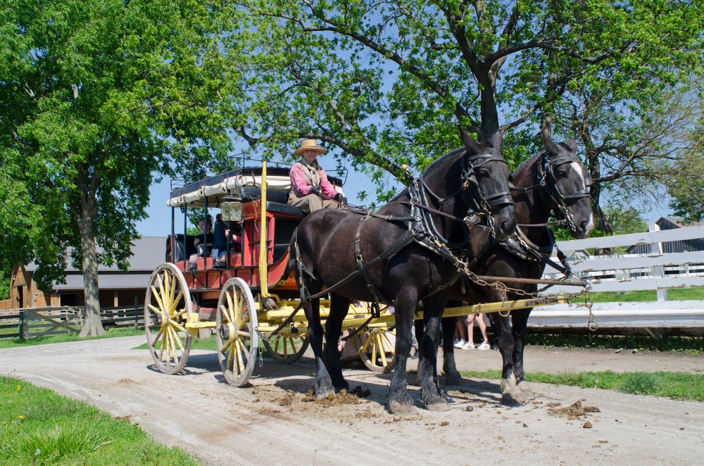 A man riding a horse carriage.