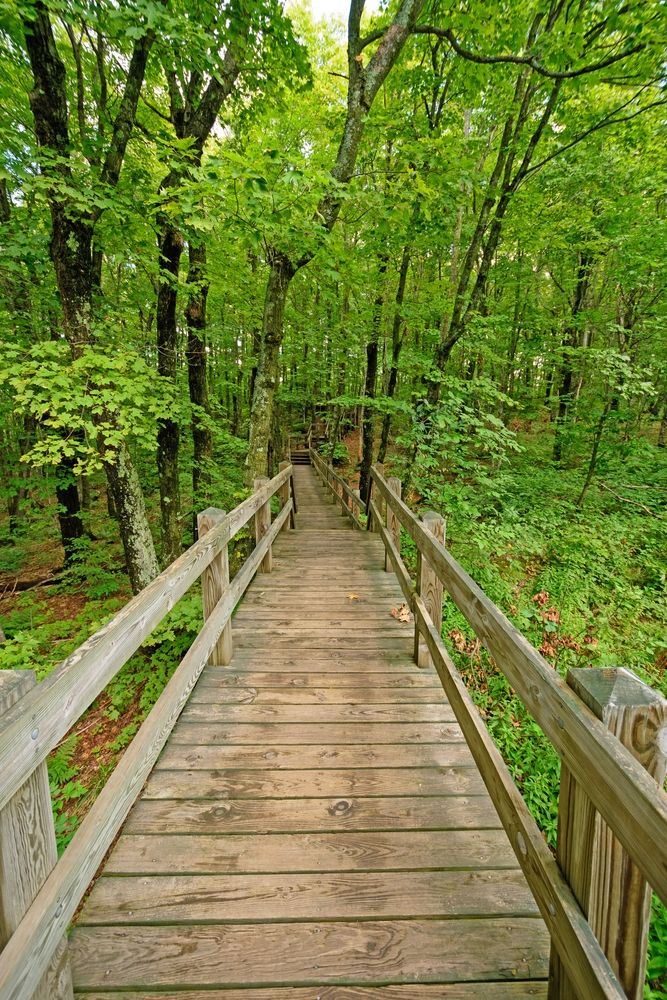 Boardwalk at Porcupine Mountains Wilderness State Park