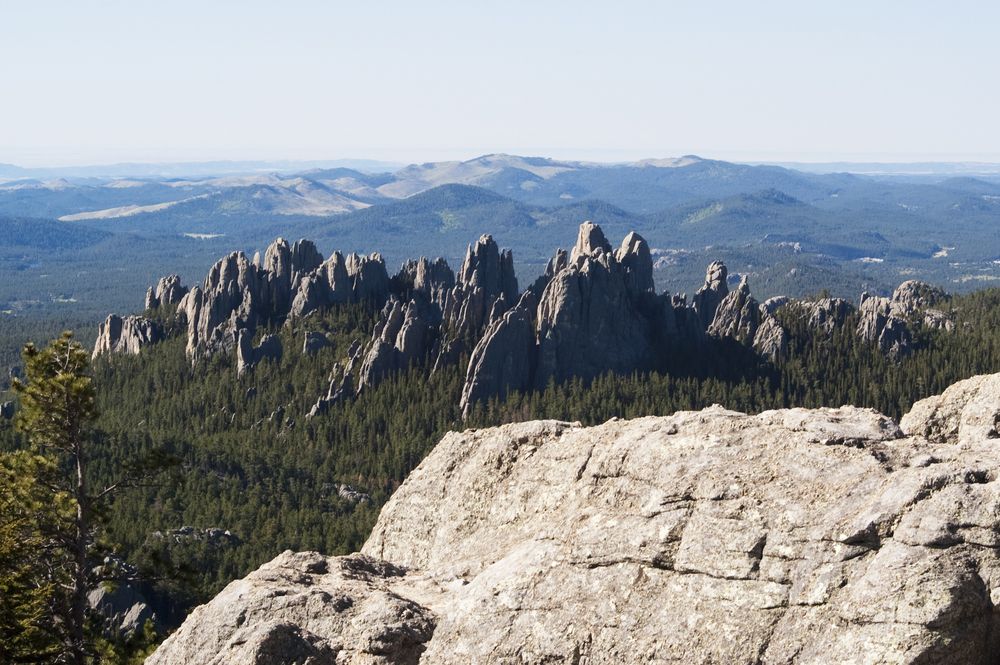 Aerial View of Black Hills Forest