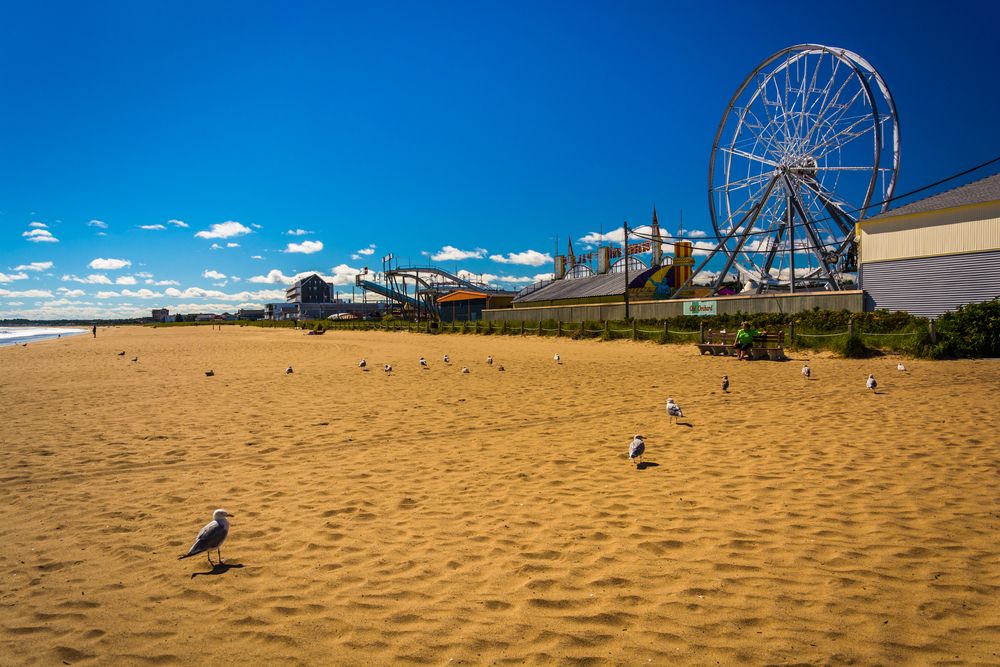 Daytime view of Palace Playland
