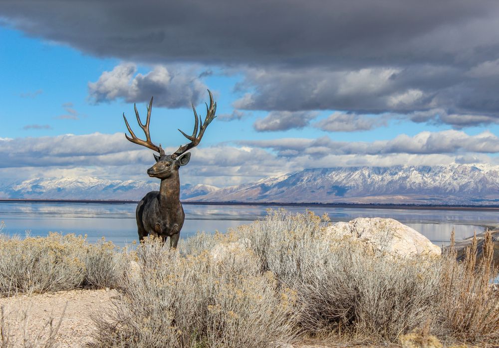 On the Antelope Island in Draper, UT