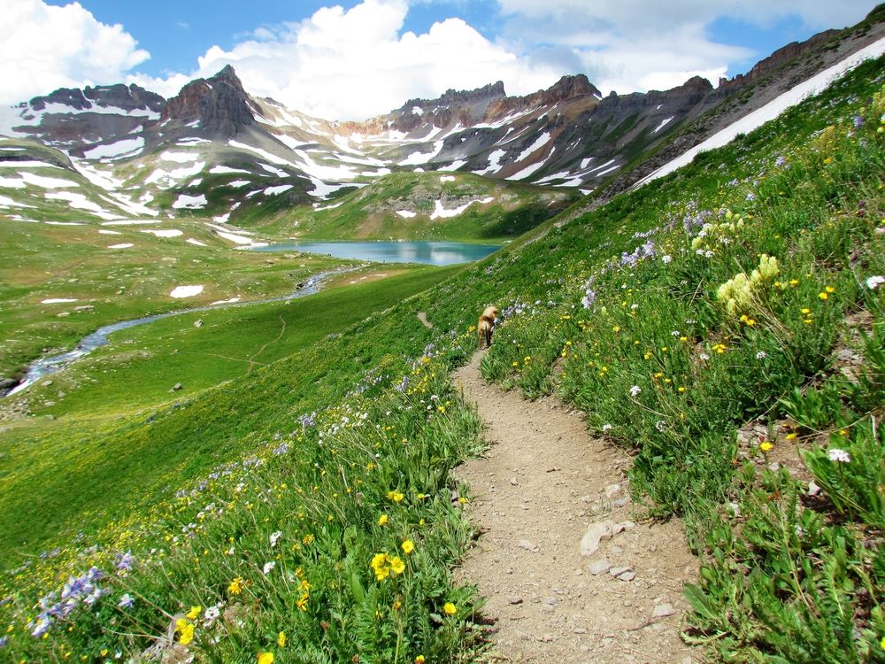 View of Ice Lakes Trail