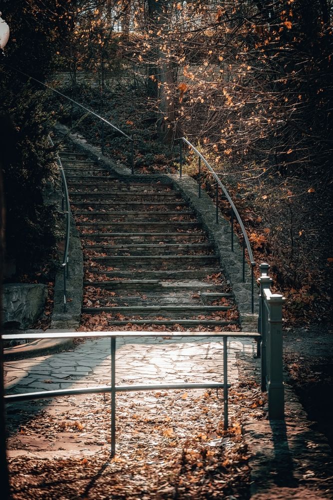 Steps trail at Elmwood Park