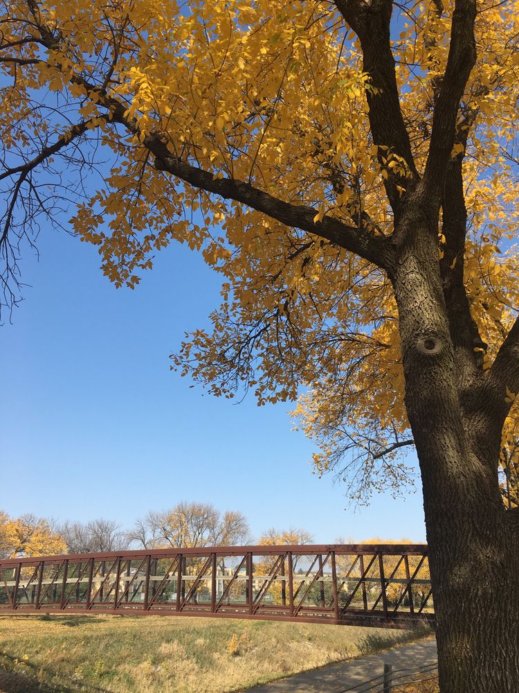 The grounds of Stinson Park