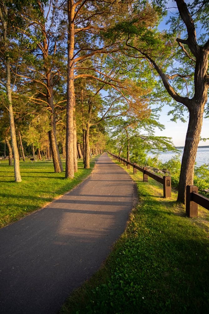 Trail at Verona Beach State Park