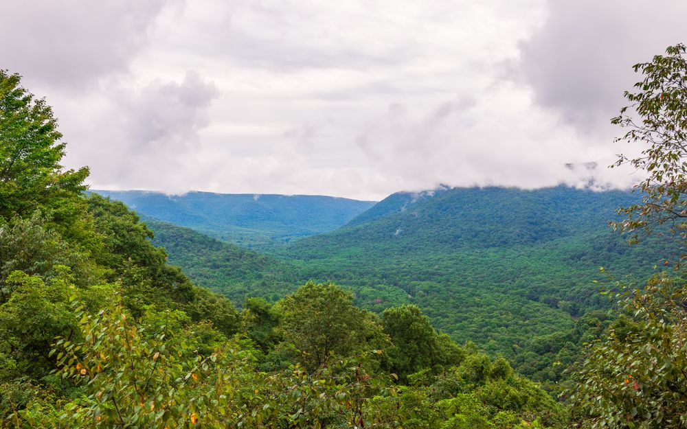 Baughman rock overlook at Ohiopyle State Park