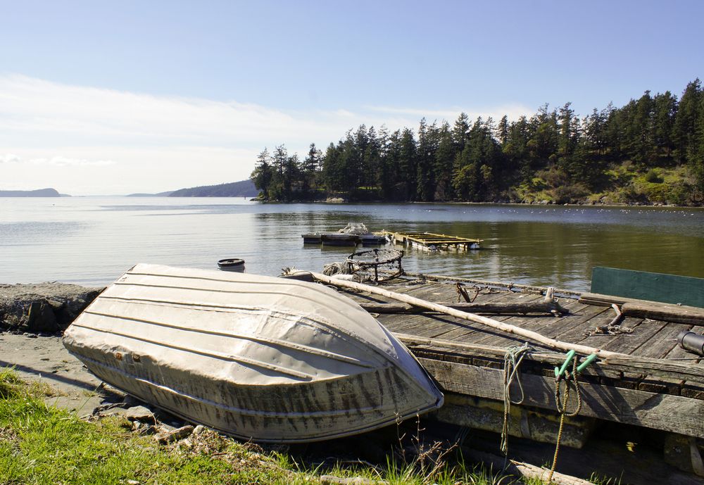 A boat near Buck Bay Shellfish Farm's dock
