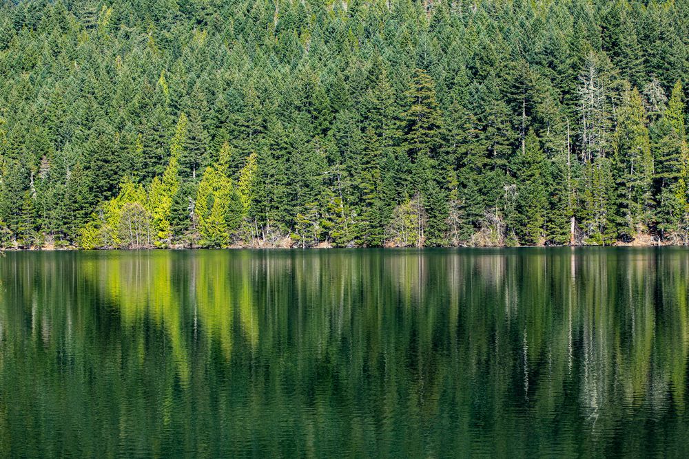 Trees reflecting on water at Moran State Park