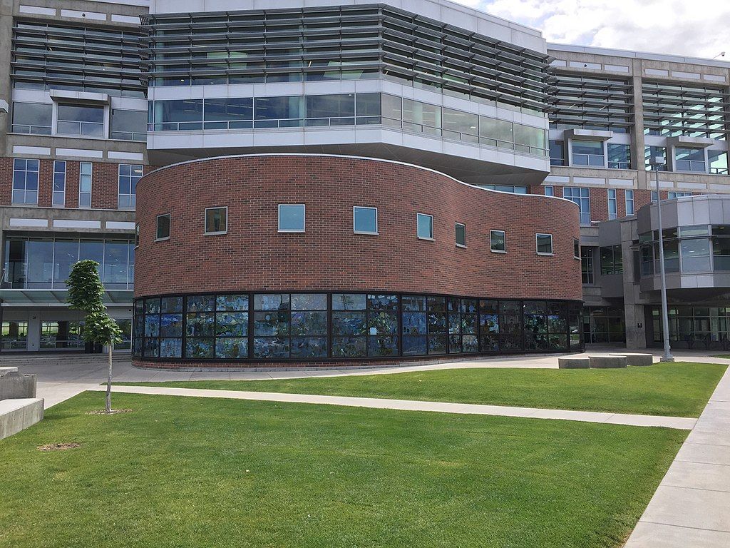 Exterior of Roots of Knowledge