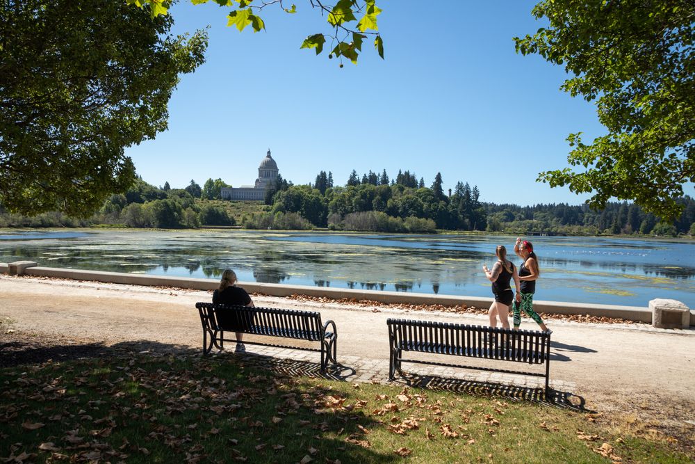 Bench overlooking the waters of Capitol Lake