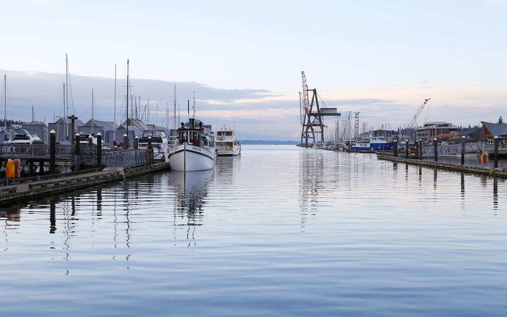 View of a marina from Percival Landing Park
