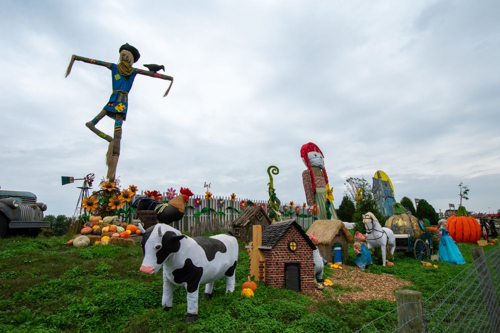 Pumpkinland displays at Linvilla Orchards