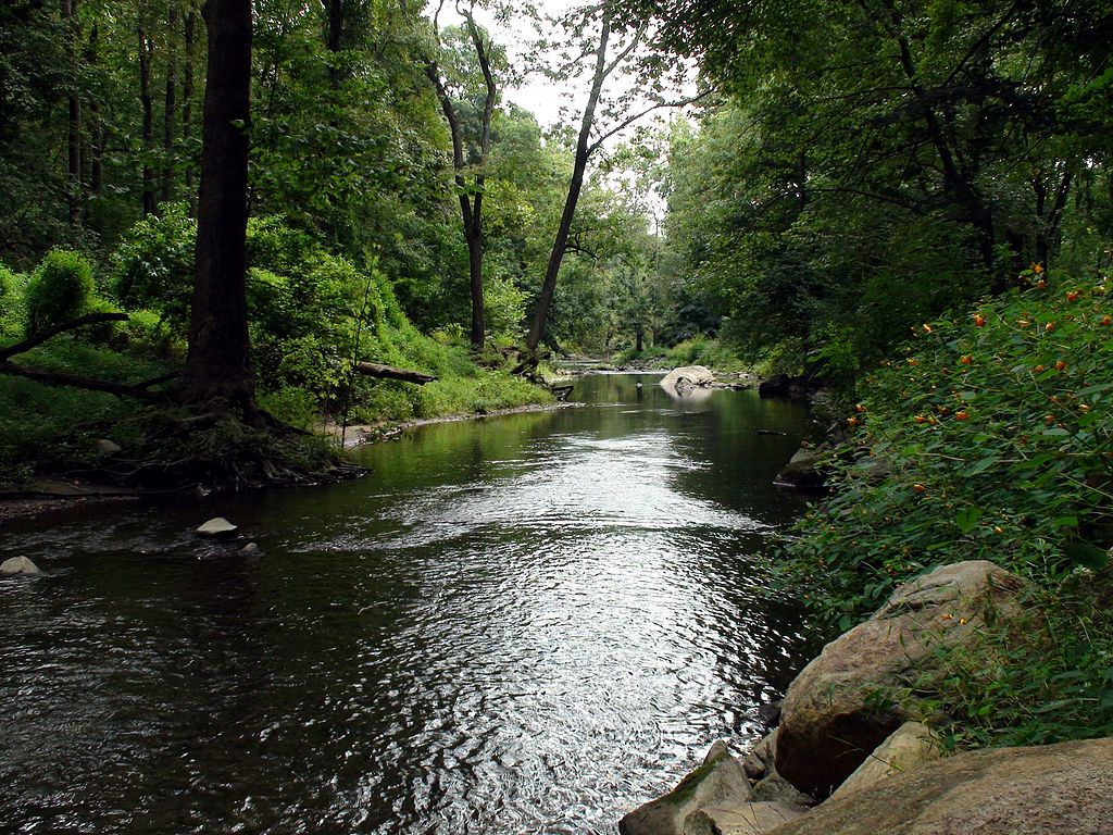Waters at Ridley Creek State Park