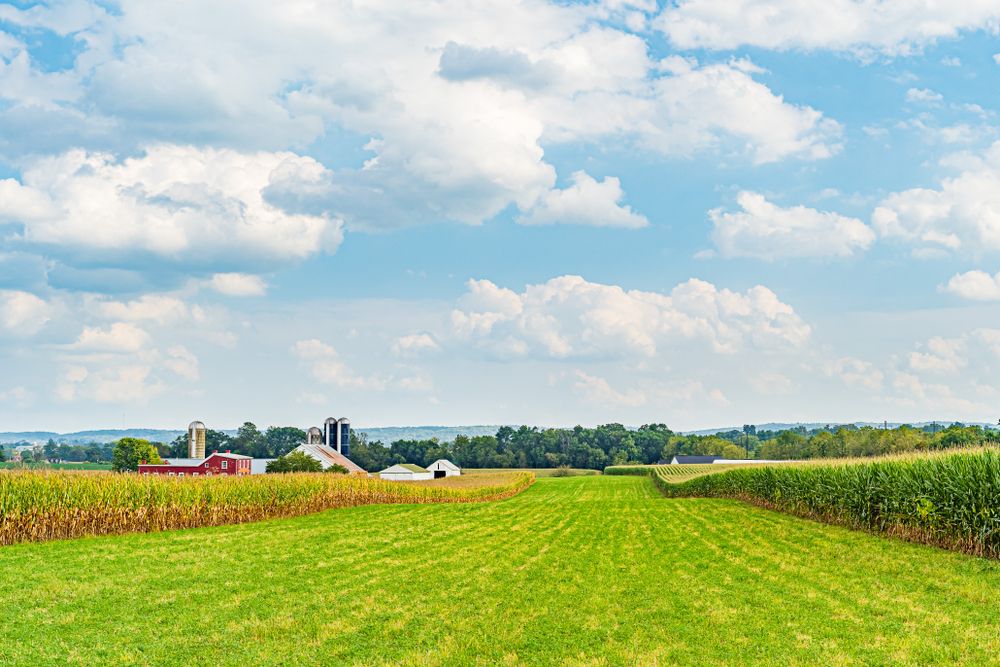 Landscape of The Amish Farm and House