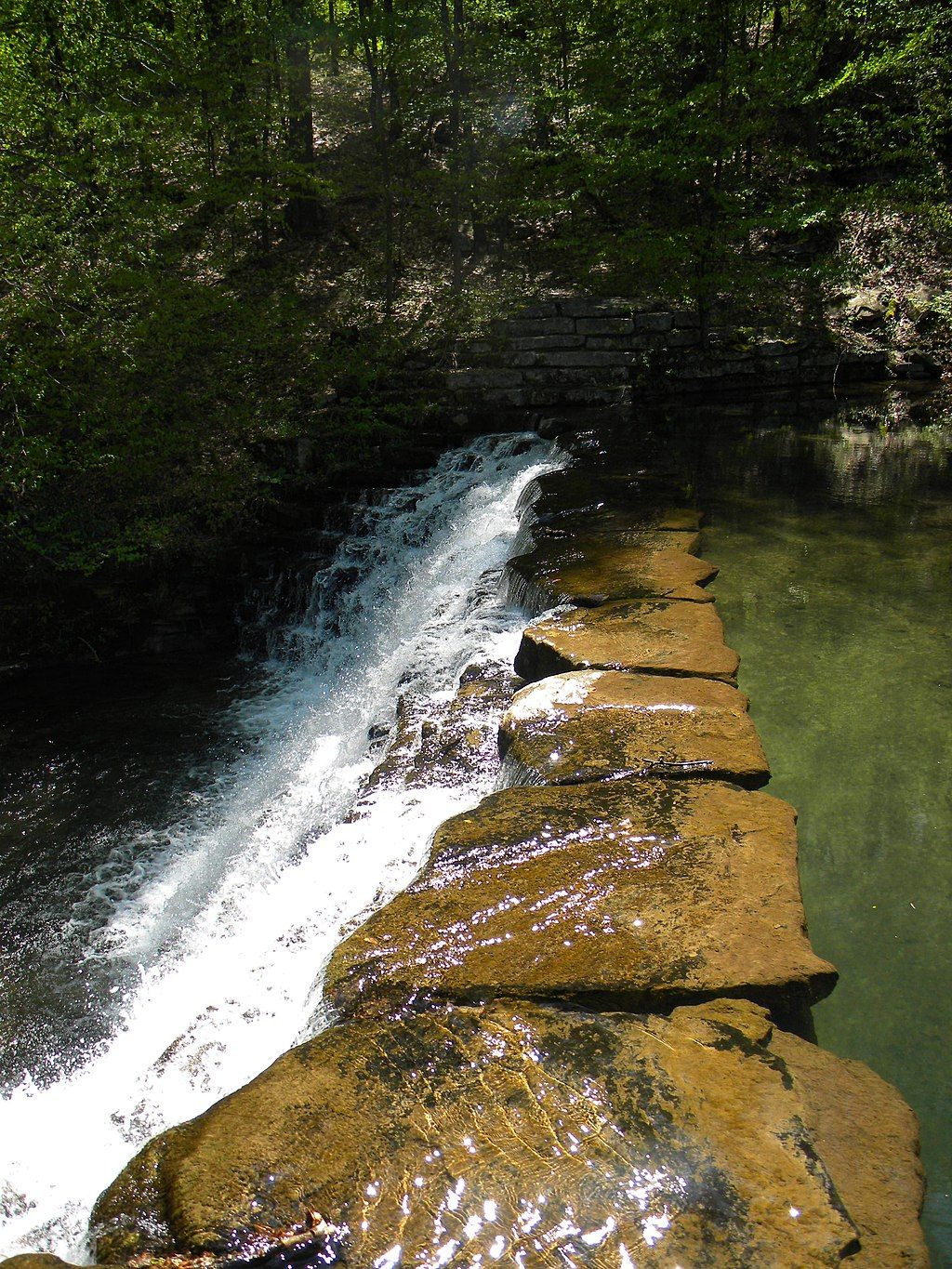 The waters of Laurel Hill State Park