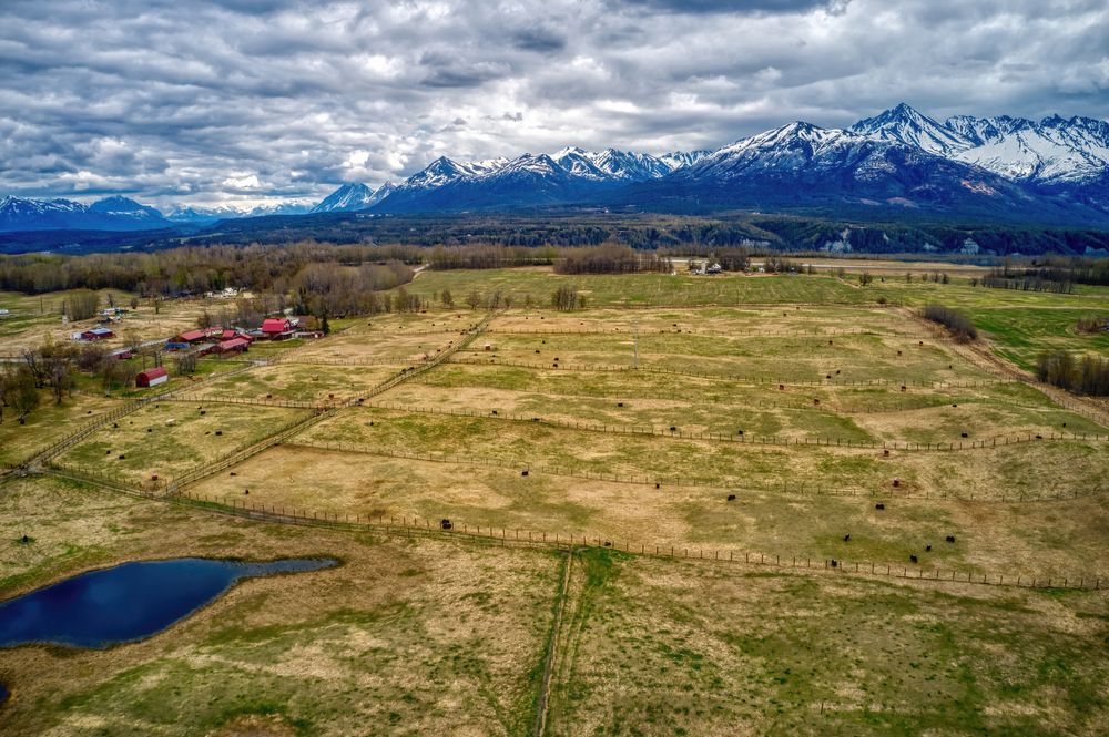 Aerial view of Musk Ox Farm