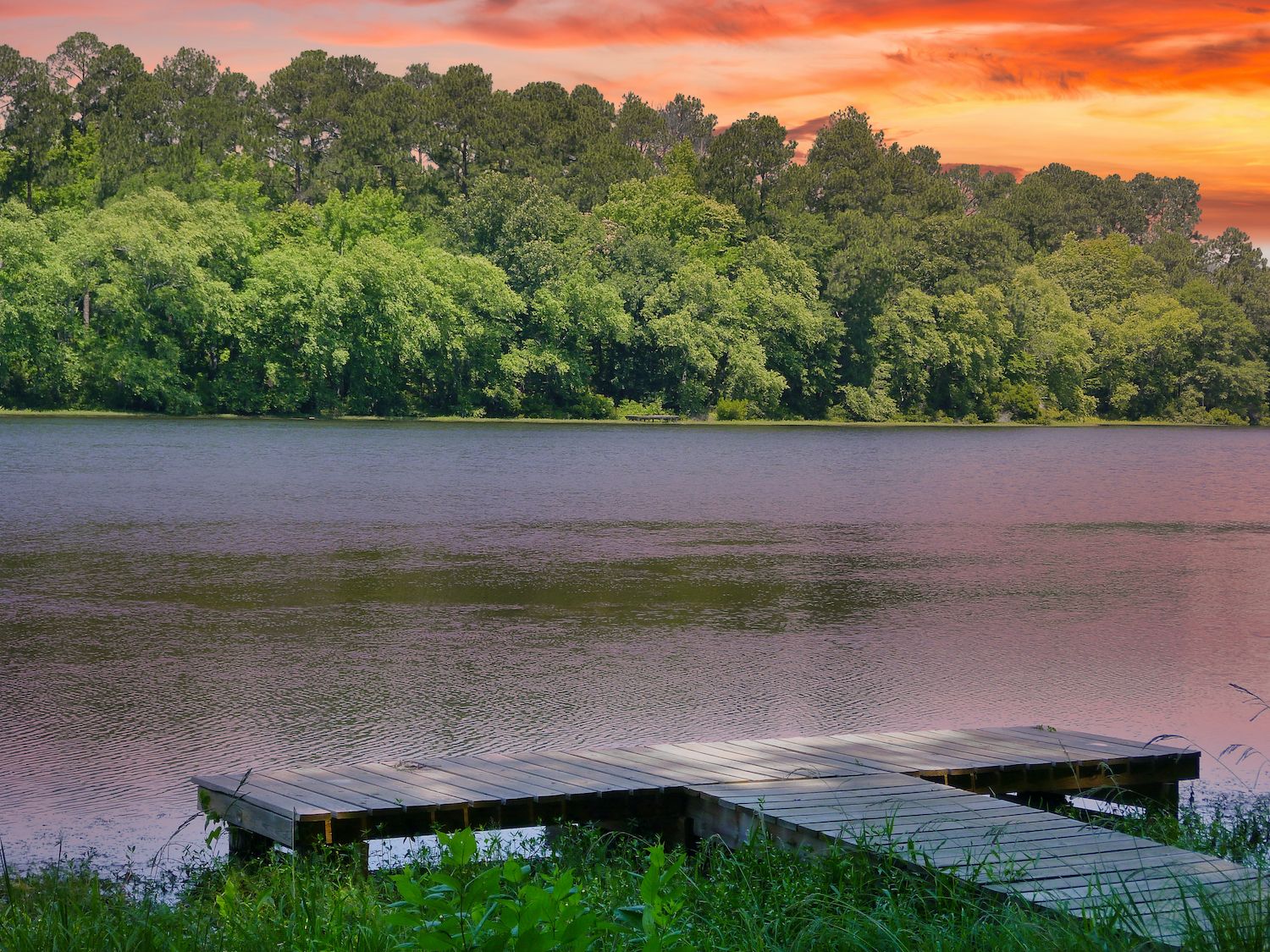 20 Best Things to Do in Palestine, TX - Travel Lens