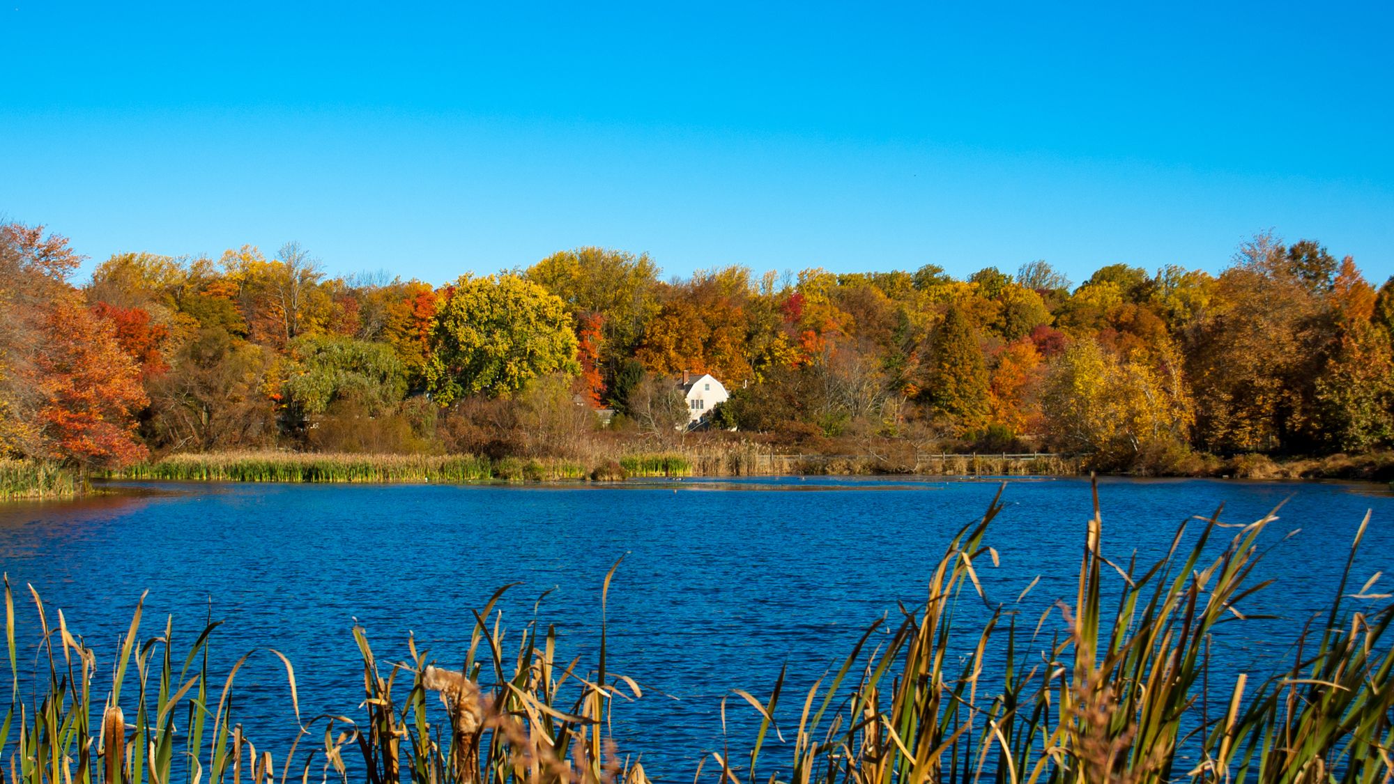 Scenic daytime view at Loantaka Brook Reservation