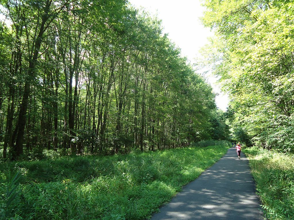 Bikepath lined with trees at Loantaka Brook Reservation