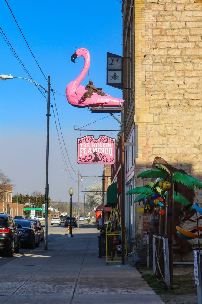 The sign of Buckin' Flamingo