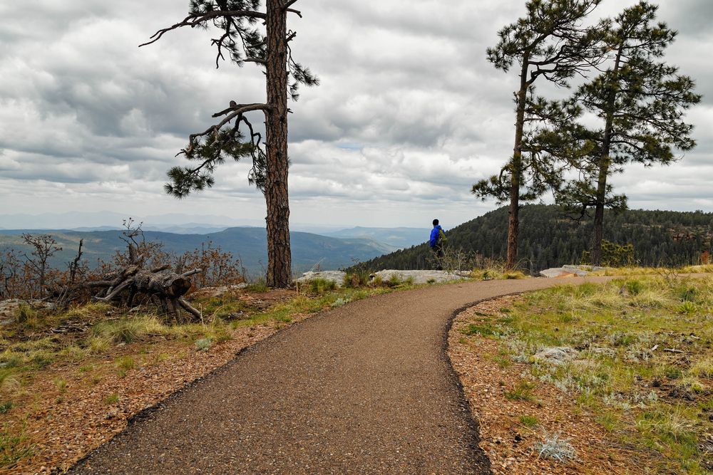 Hiking trail at Mogollon Rim