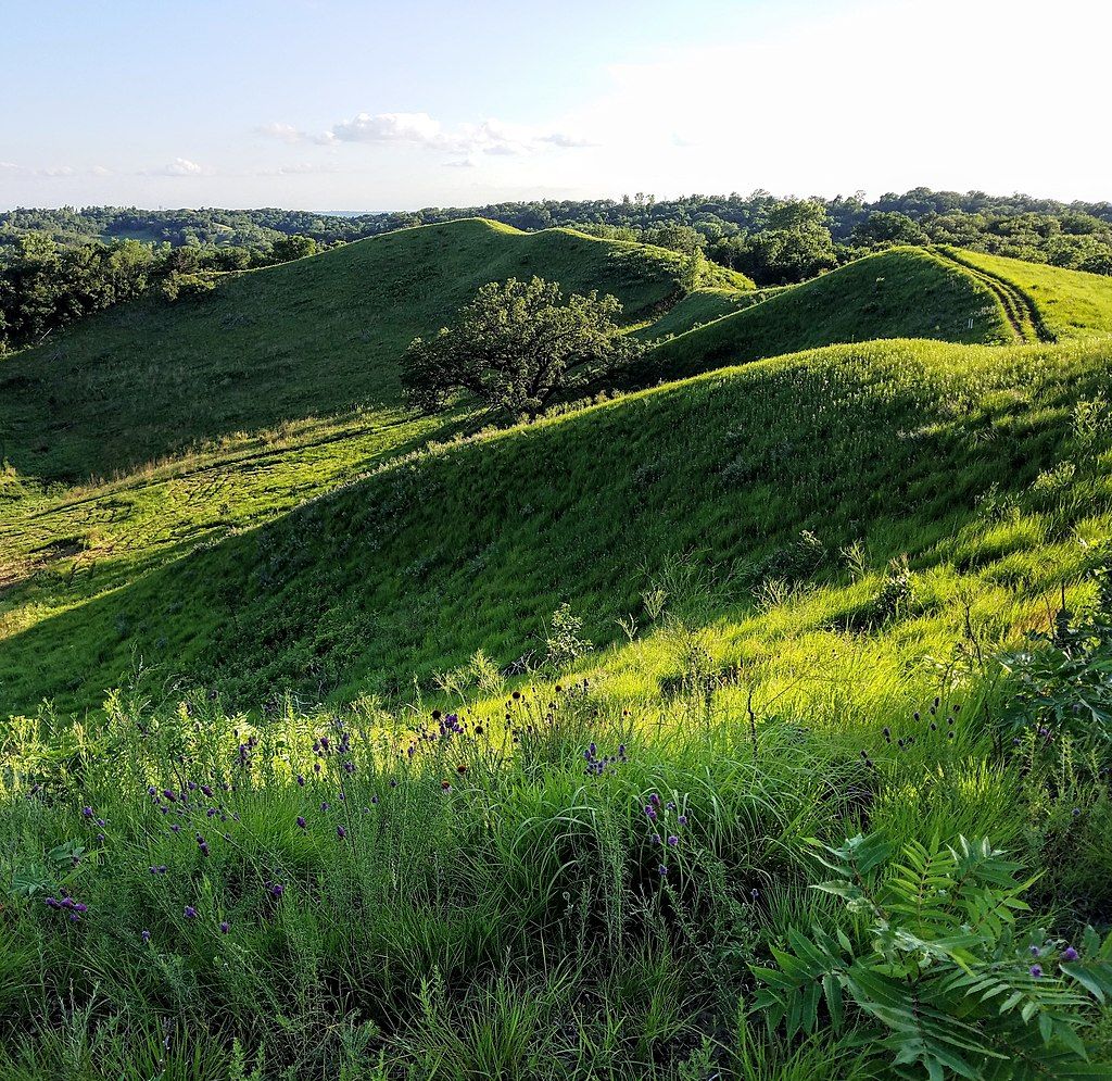 Landscape of Hitchcock Nature Center