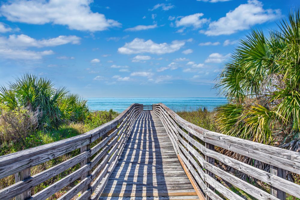 Boardwalk leading to Honeymoon Island State Park