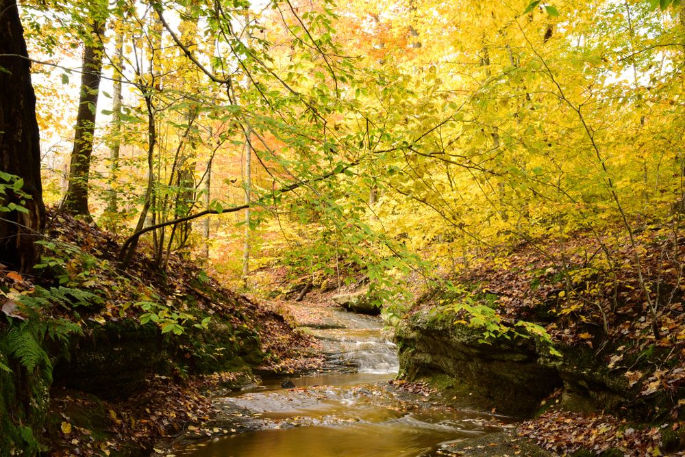 Crystal creek at Nelson Ledges Quarry Park