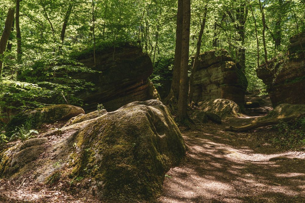Trail at Nelson Ledges Quarry Park