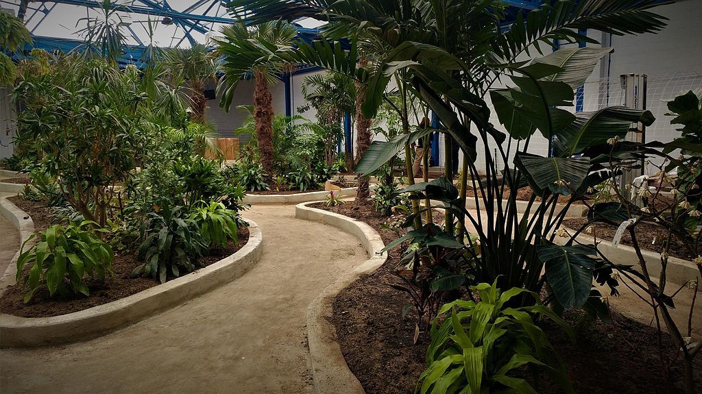 Interior of Philadelphia Insectarium and Butterfly Pavilion