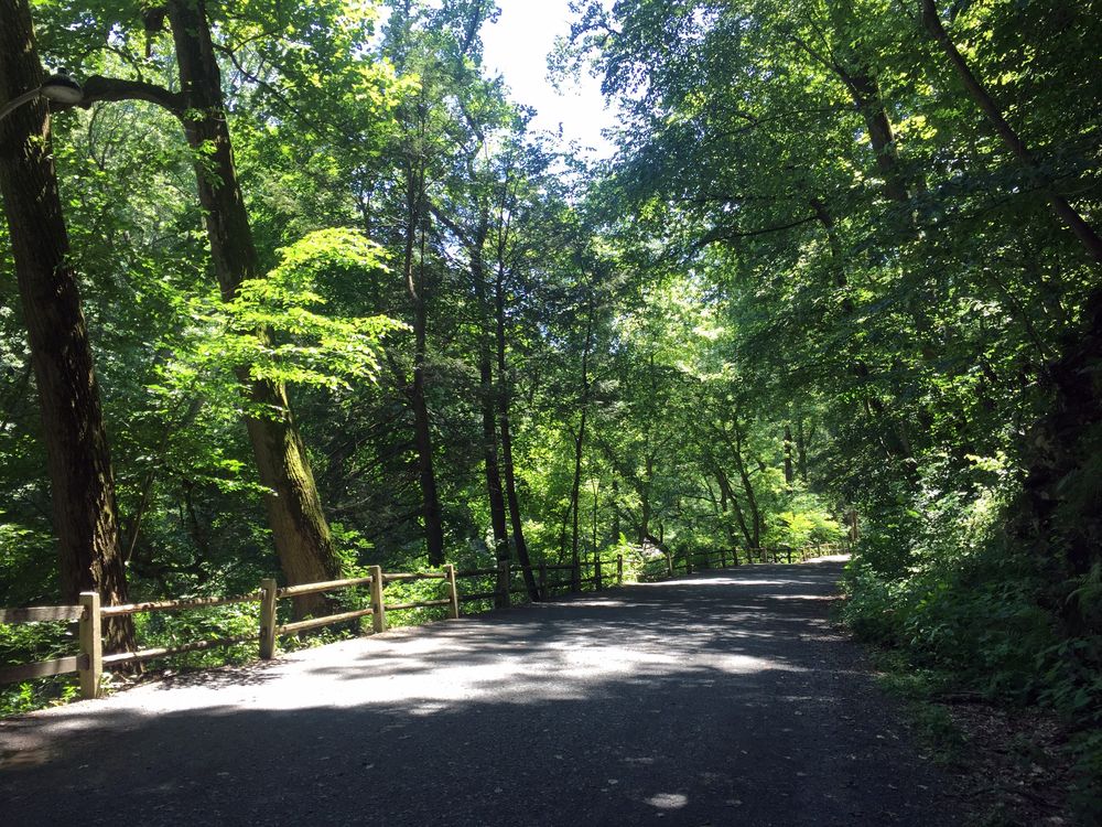 Trail at Wissahickon Valley Park