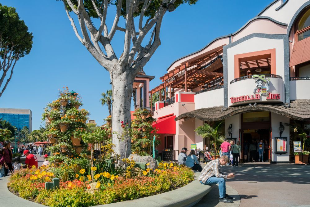 Shops along the Downtown Disney District