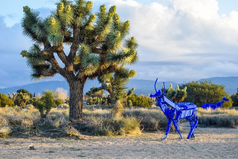 Animal sculptures and joshua trees at Prime Desert Woodland Preserve