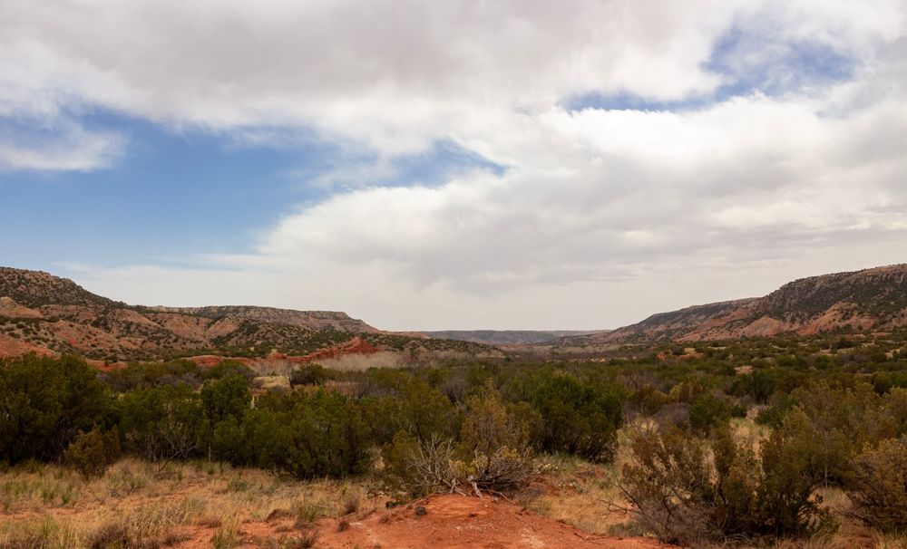 View along Lighthouse Trail