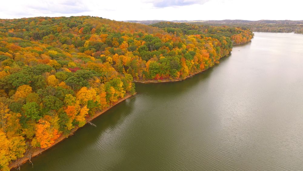 Aerial View of Pleasant Hill Lake Park