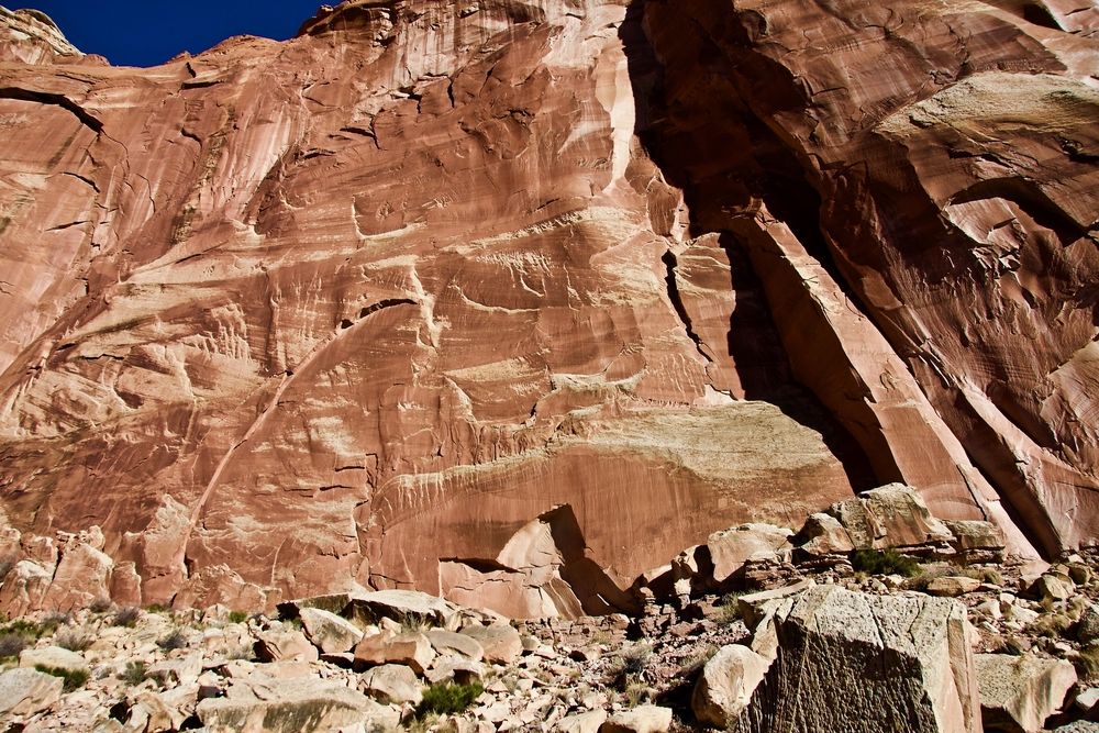 View of Petroglyphs in in Capitol Reef National Park