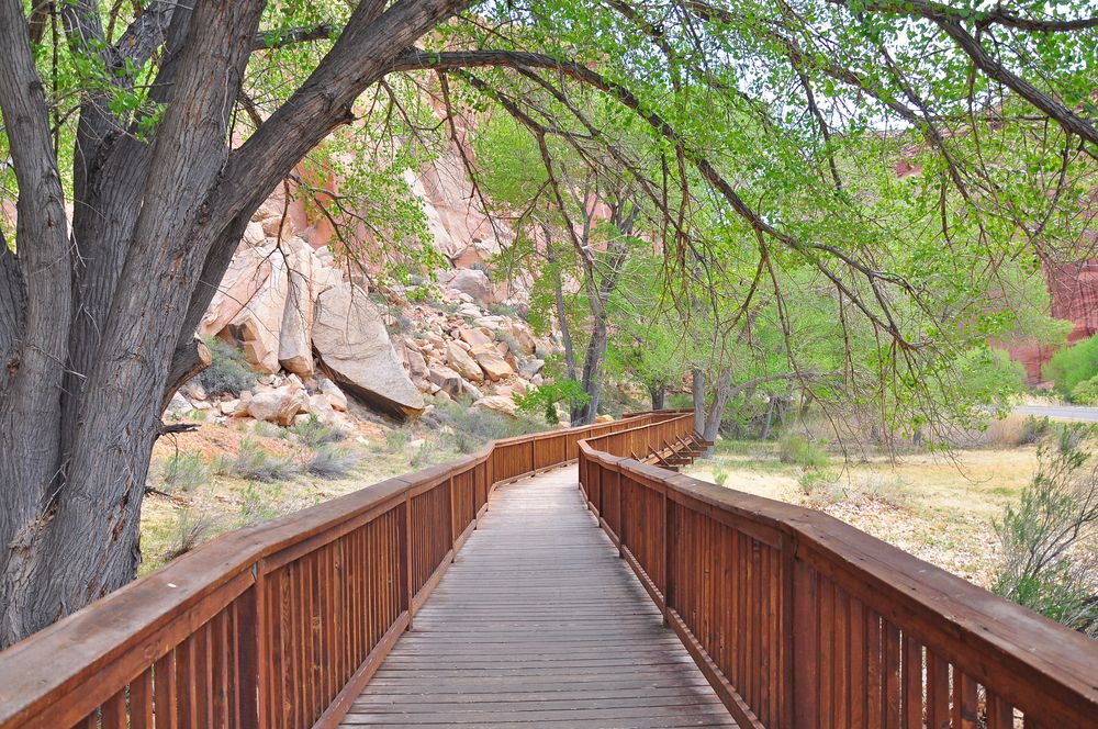 Boardwalk at Petroglyphs in in Capitol Reef National Park
