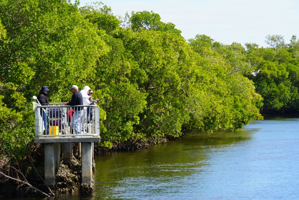 Fishing pier at Ponce De Leon Park