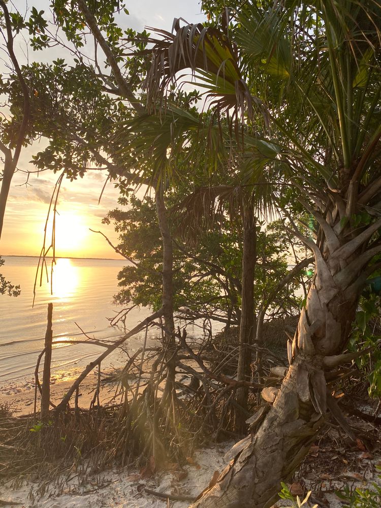 Sunset at Ponce De Leon Park