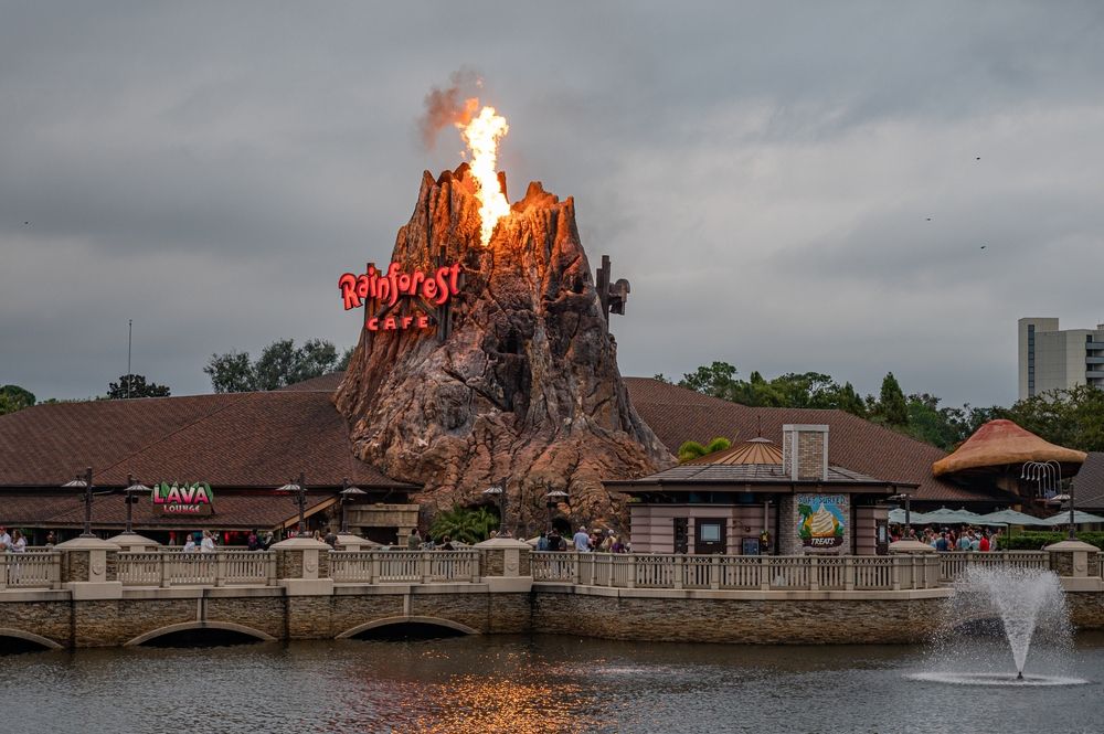 Rainforest Cafe at Disney Springs