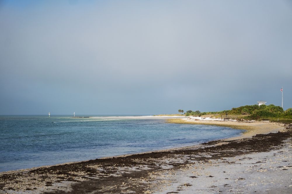 Beach at Honeymoon Island State Park