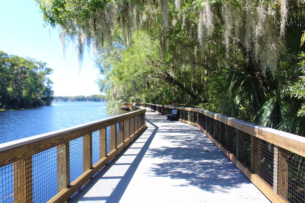 Boardwalk trail at John Chesnut Sr. Park