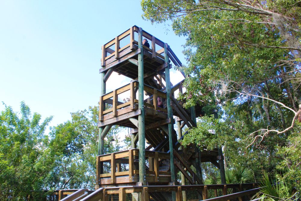Observation tower at John Chesnut Sr. Park