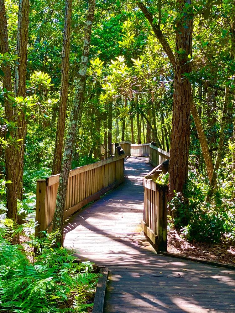 Boardwalk trail at Tibet-Butler Nature Preserve