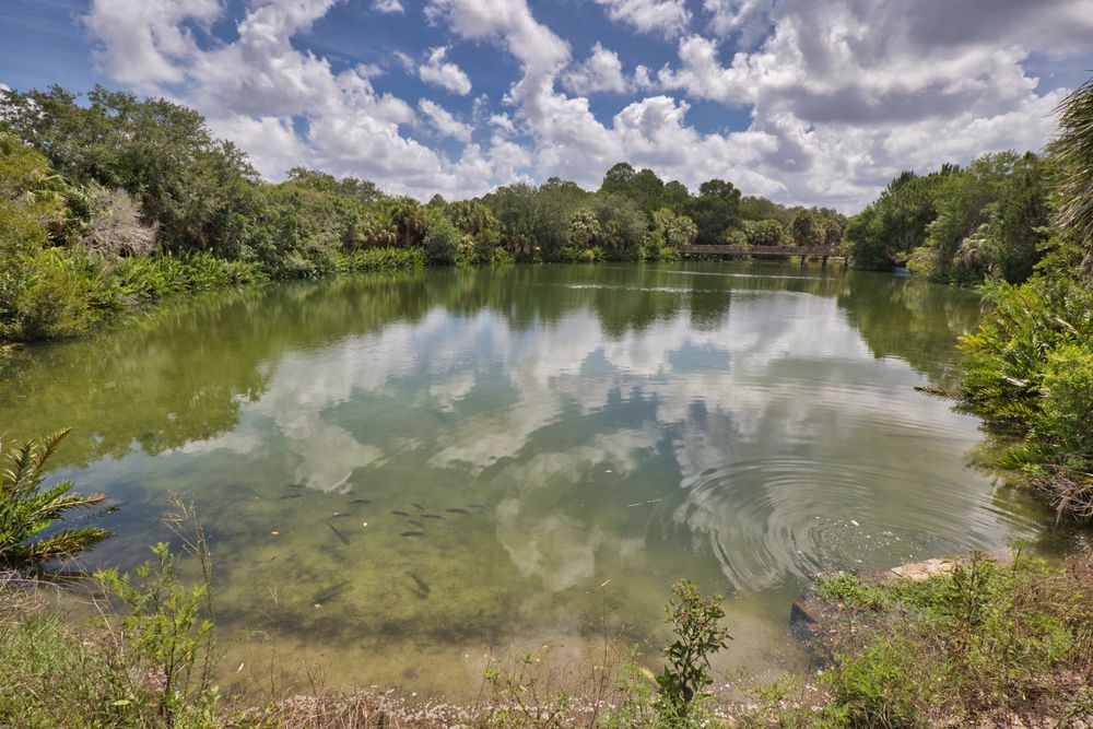 The waters of Wall Springs Park