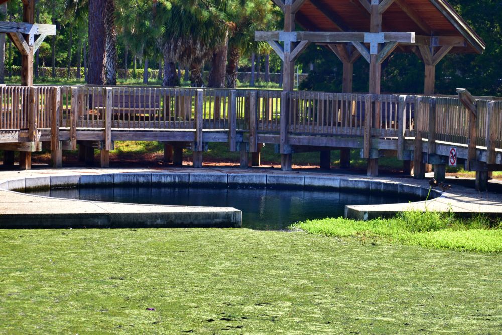 Daytime view of Wall Springs Park