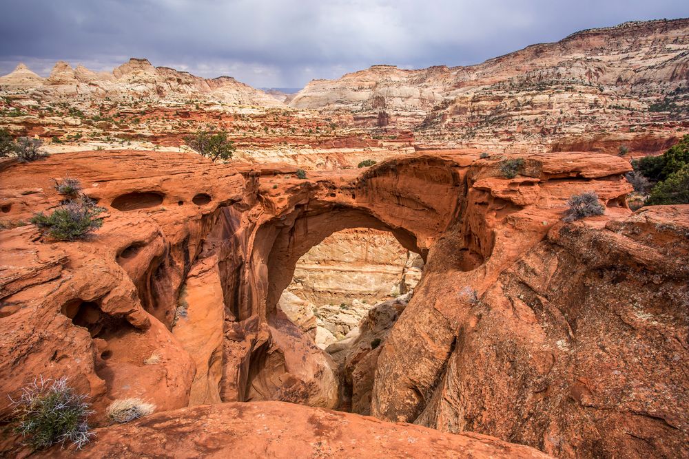 View of Cassidy Arch