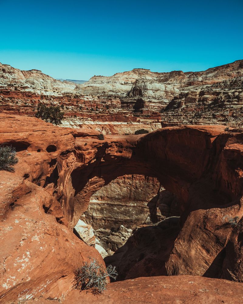 View of Cassidy Arch
